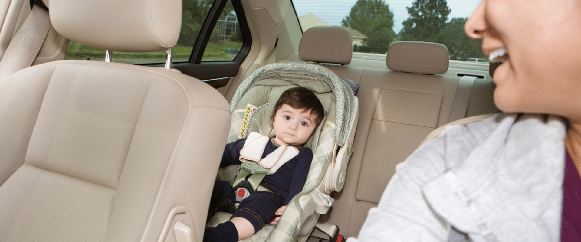 Seats and Harnesses: A Comprehensive Overview